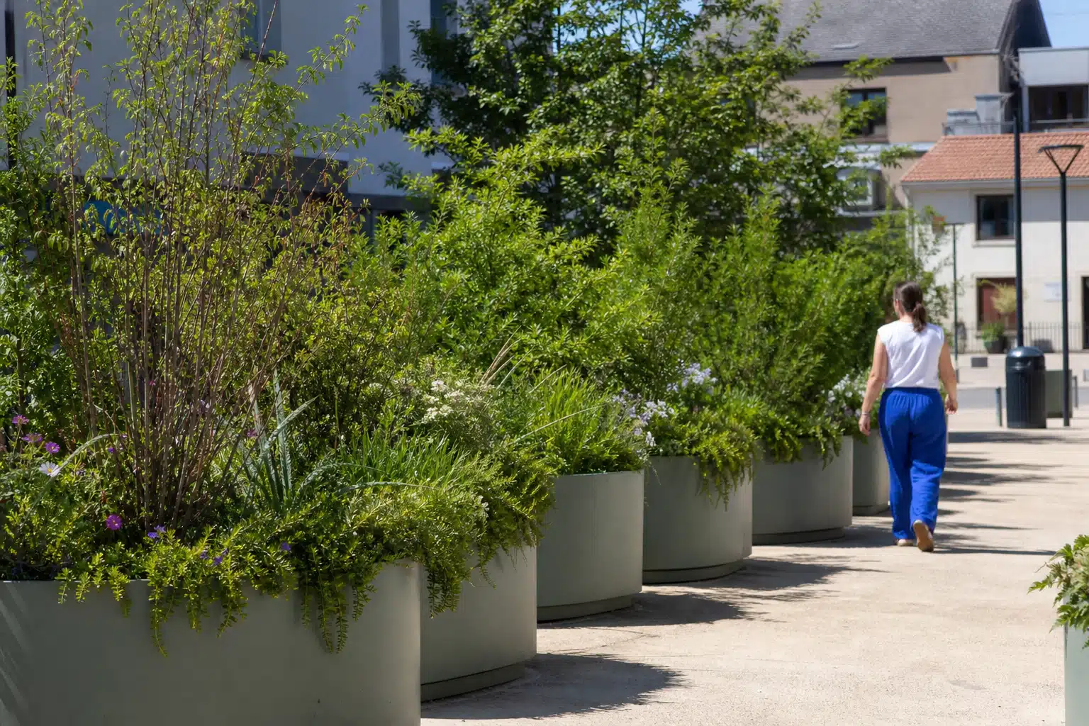 Alignement de grands pots de plantes vertes